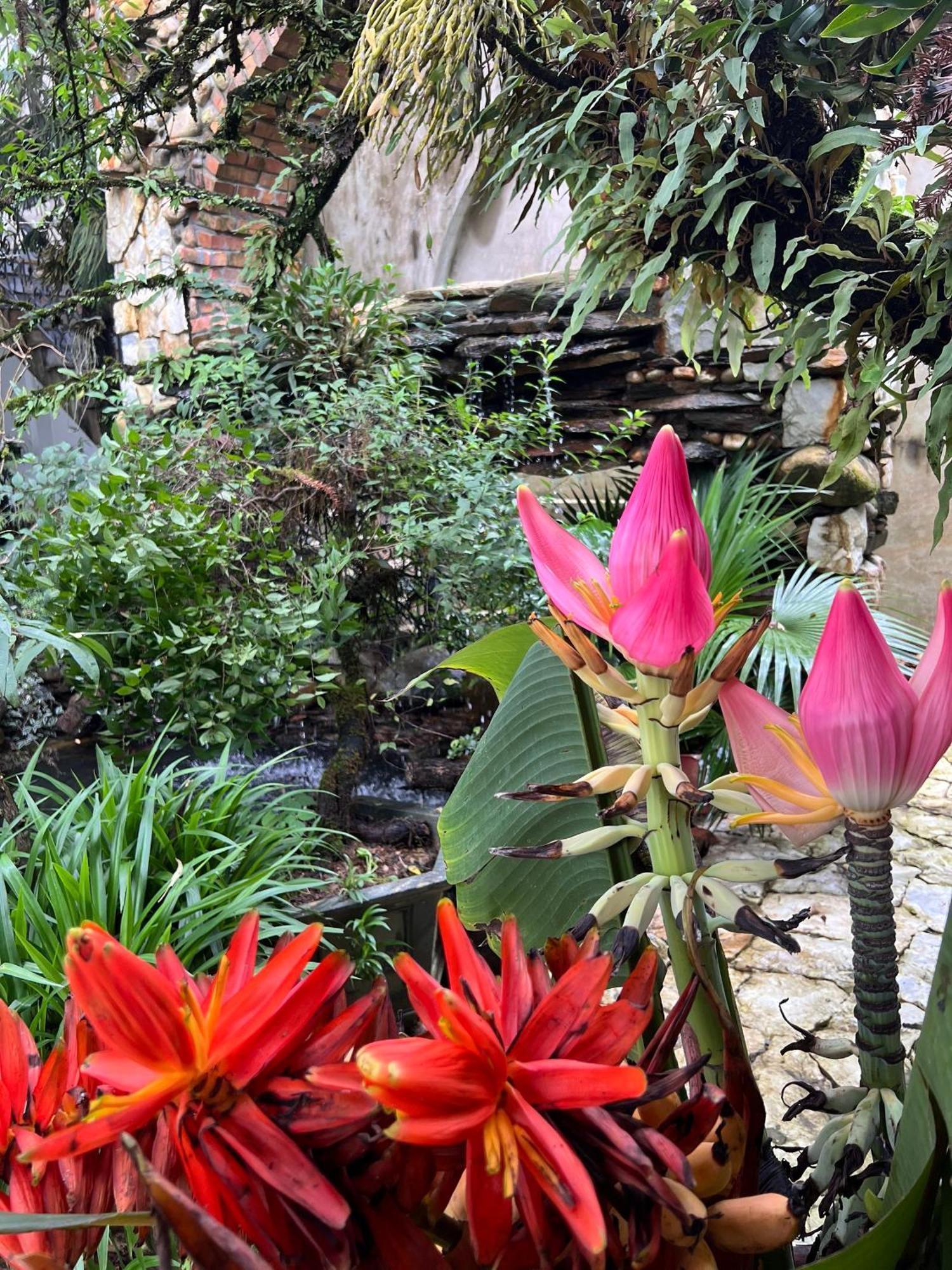 Green Villa Sapa エクステリア 写真