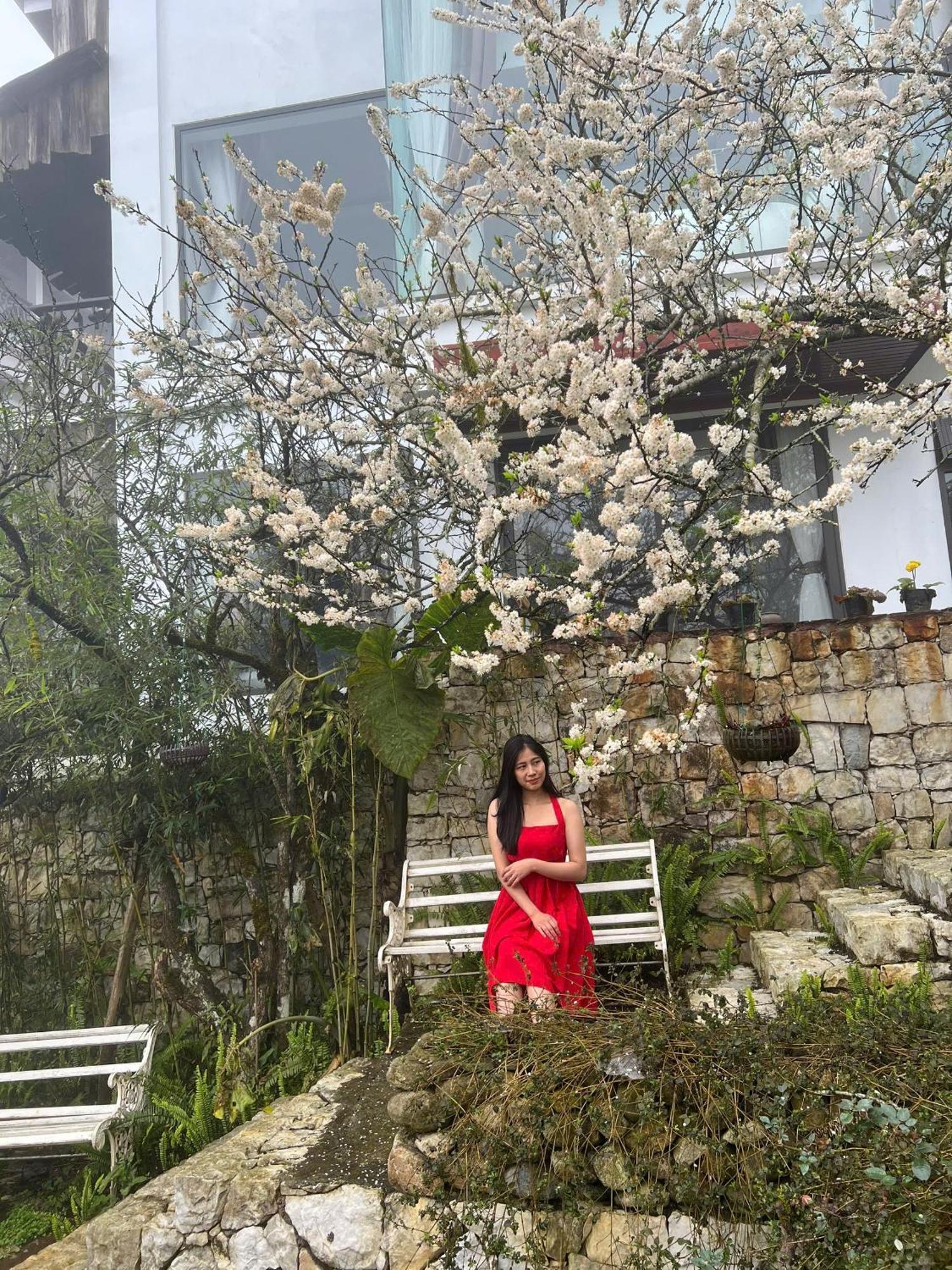 Green Villa Sapa エクステリア 写真