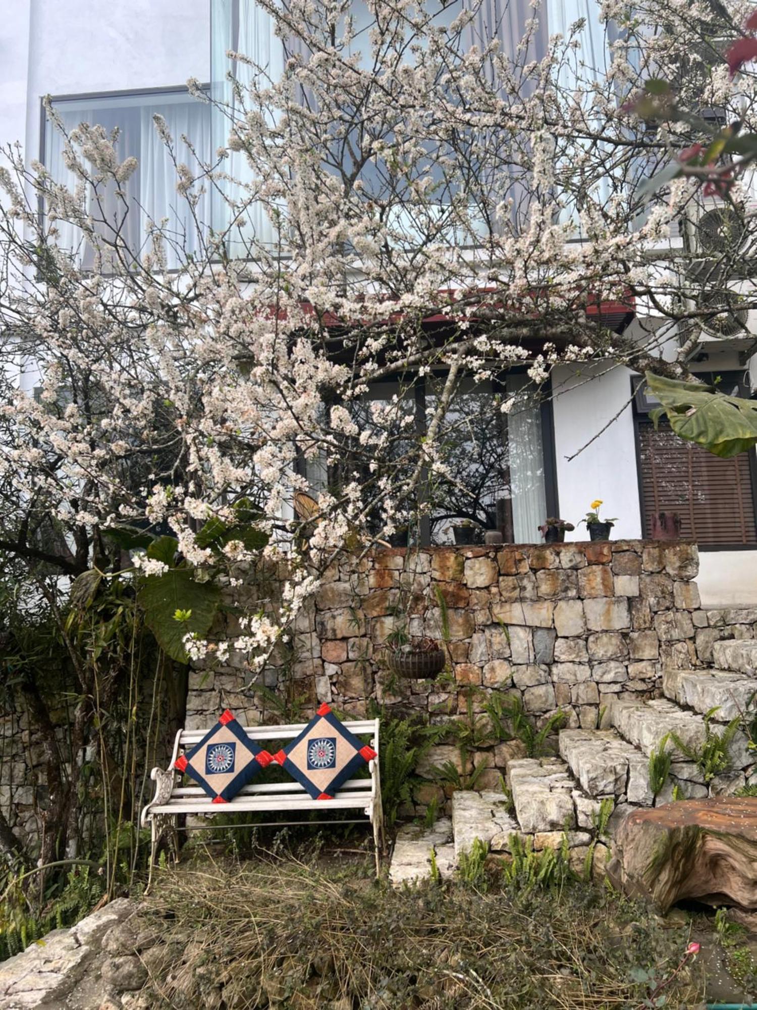 Green Villa Sapa エクステリア 写真
